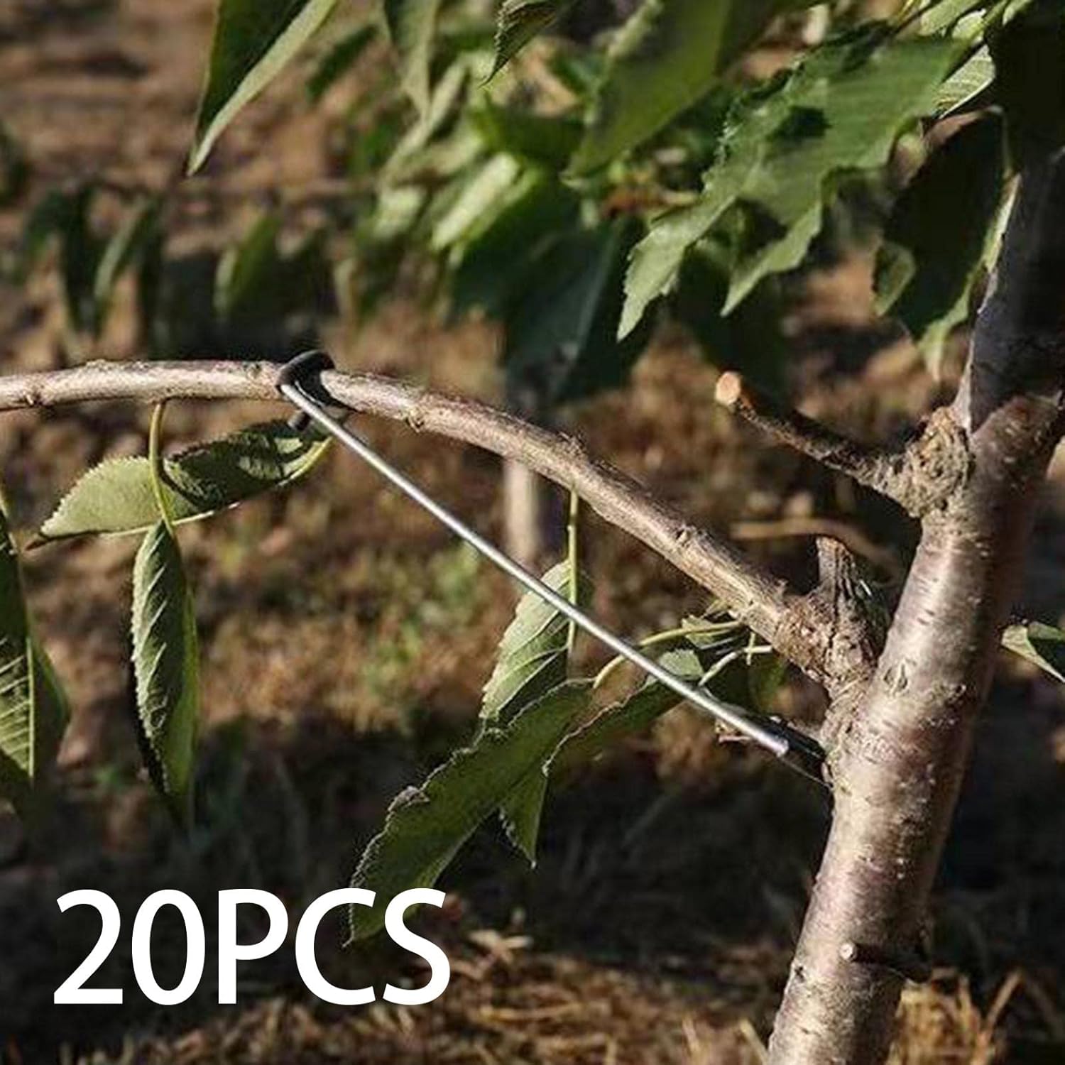 20Pcs Fruit Tree Branch Limb Spreader Yard Trees Branches Fixator Branch Plant Support Twig Fixing Puller Fruit Branch Spreader, 26T